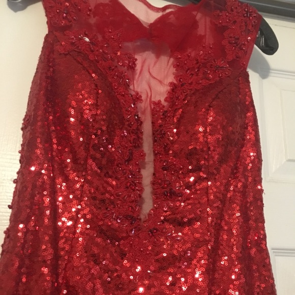 Prom Dress - Picture 3 of 5